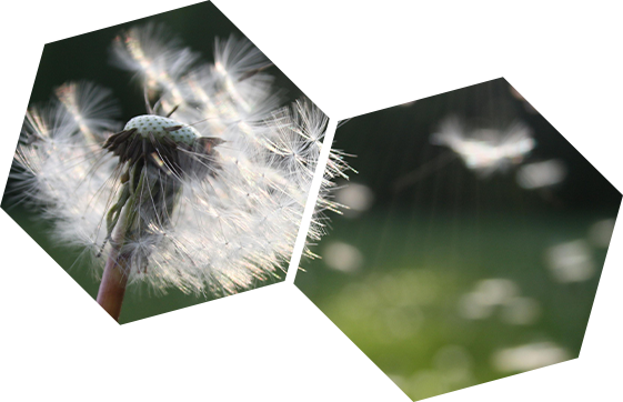 01tipos-miel 01tipos-miel