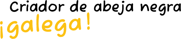 criador-abeja-negra-galega