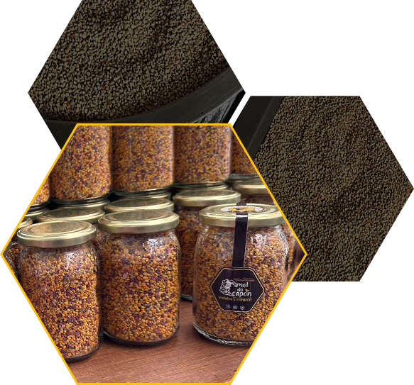 img-beneficios-polen img-beneficios-polen