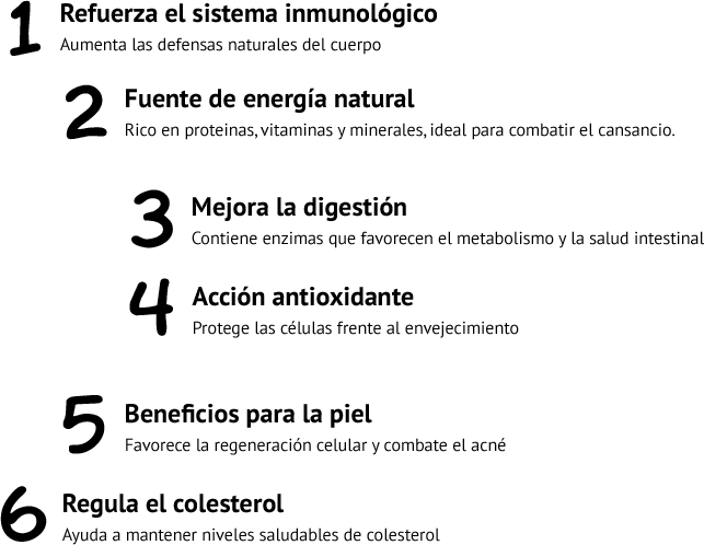 lista-movil lista-movil